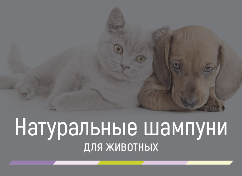 шампунь эко для животных