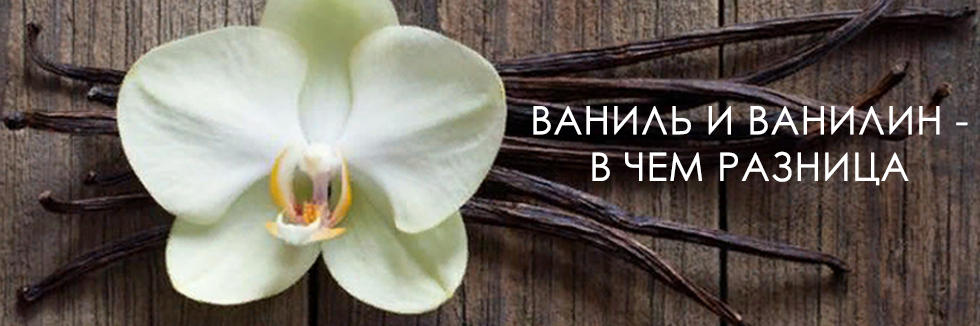 ваниль и ванилин в чем разница