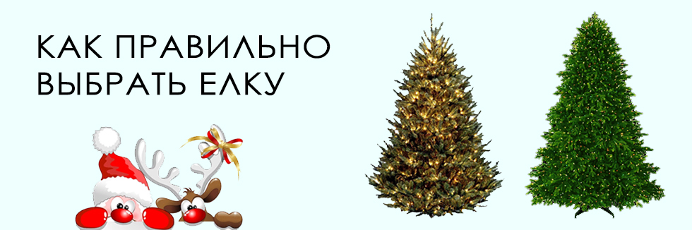 как правильно выбрать елку