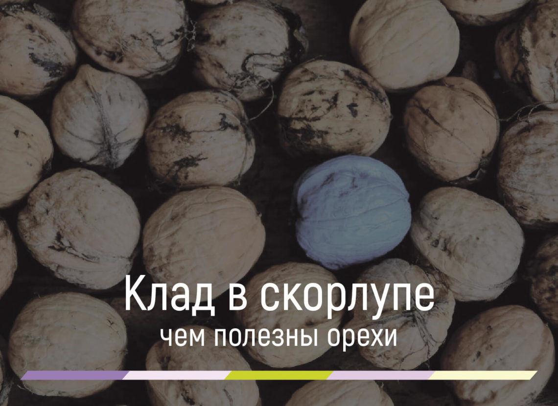 чем полезны орехи для организма человека