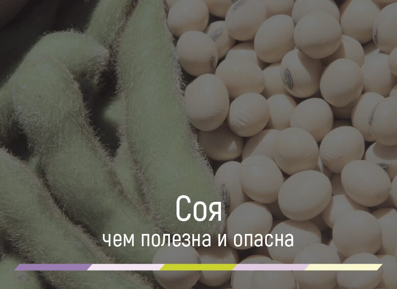 соя польза и вред для здоровья