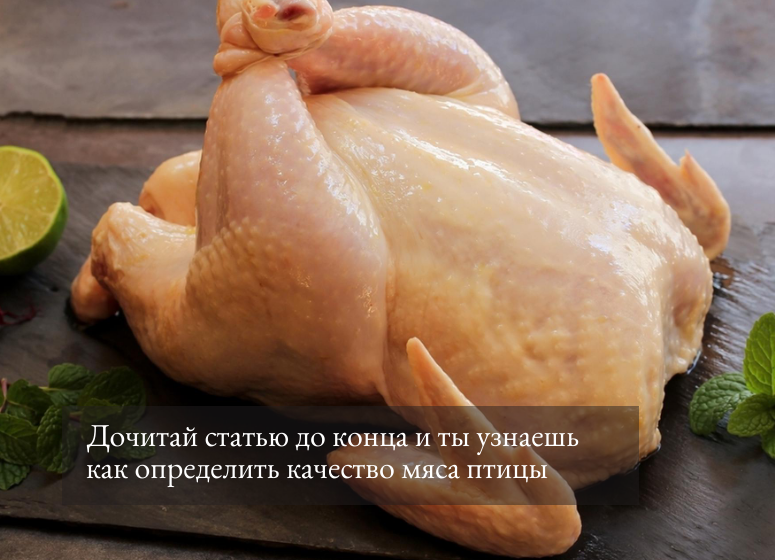 качество мяса птицы: как определить
