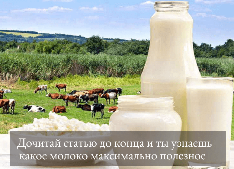 органическое молоко: как определить