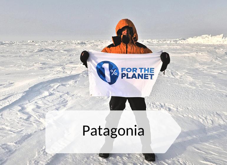 экологичная мода: бренд Patagonia