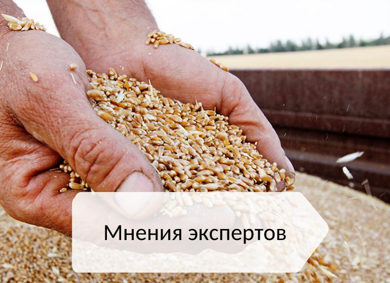 зерновые продукты: мнение экспертов