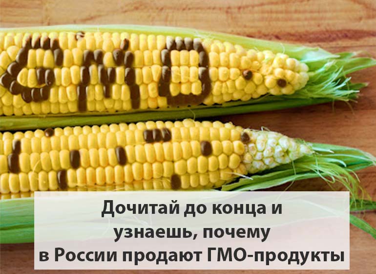 ГМО_вред